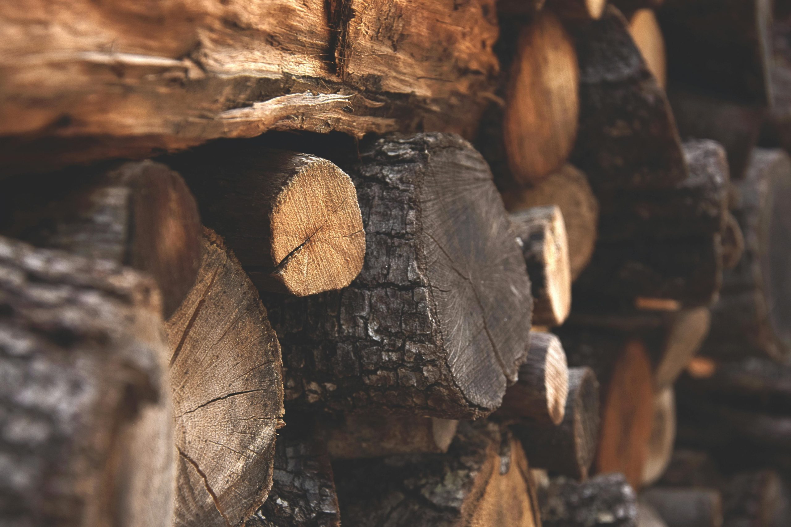 hout1